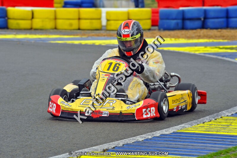 DSC_ (374).jpg